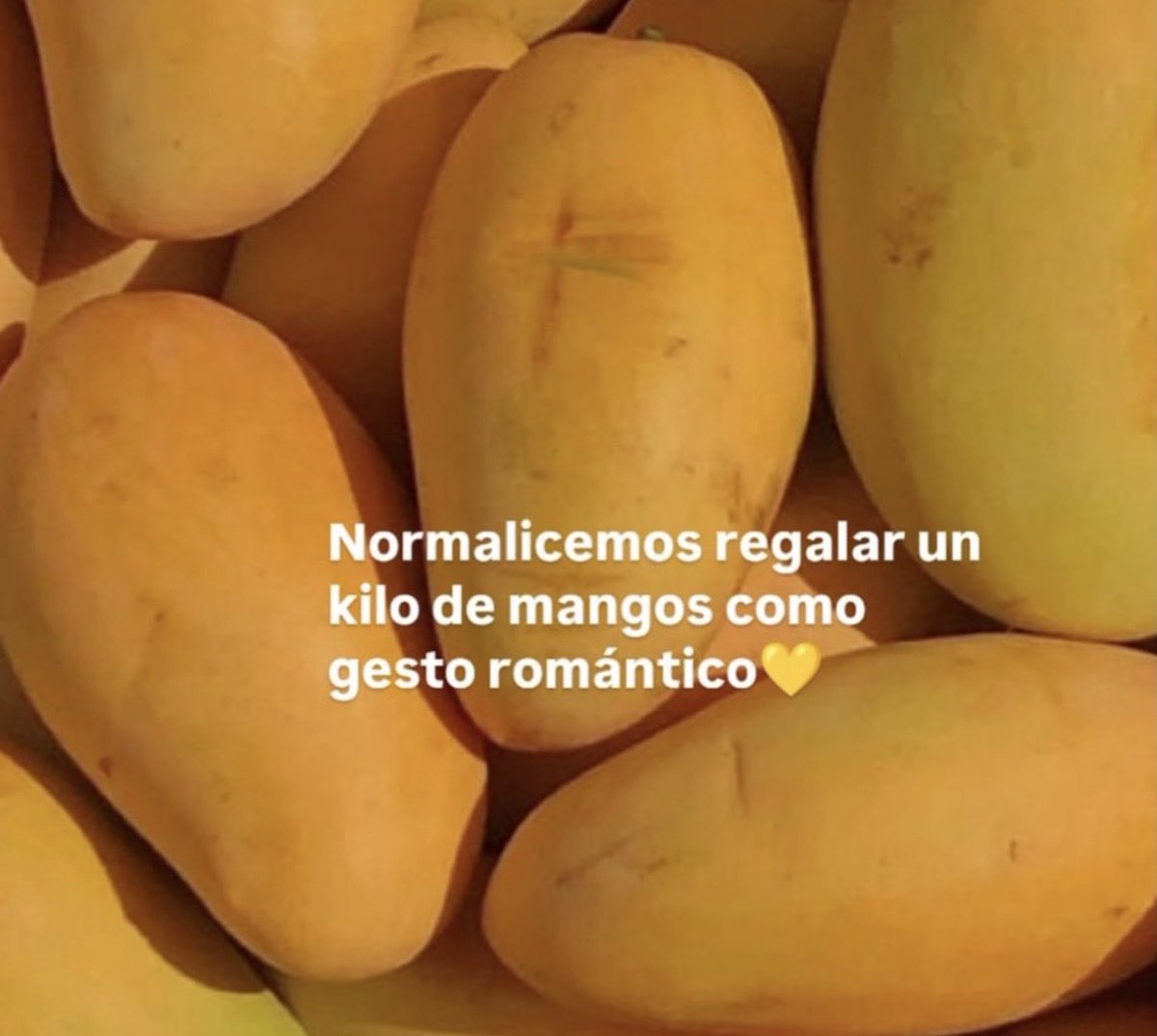 El Pandita Rojo tweet media