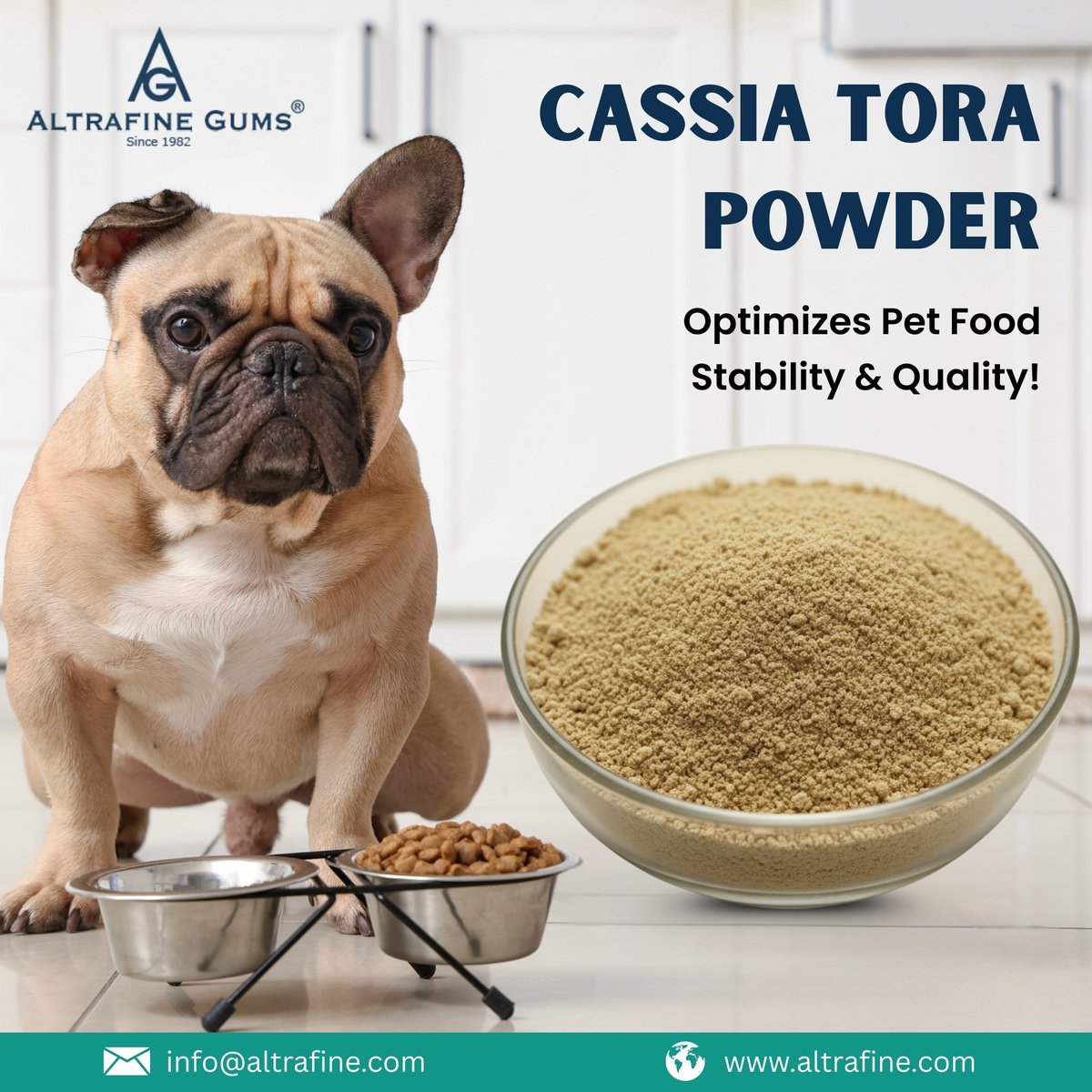 altrafinegums's tweet image. Ensure long-lasting texture &amp;amp; stability in pet food with Cassia Tora powder 🐾 Its natural gelling properties deliver consistent quality every time.

For more, Visit: altrafine.com/cassia-tora-po…

#AltrafineGums #CassiaToraPowder #CassiaPowder #PetFoodFormulations #NaturalGellingAgent