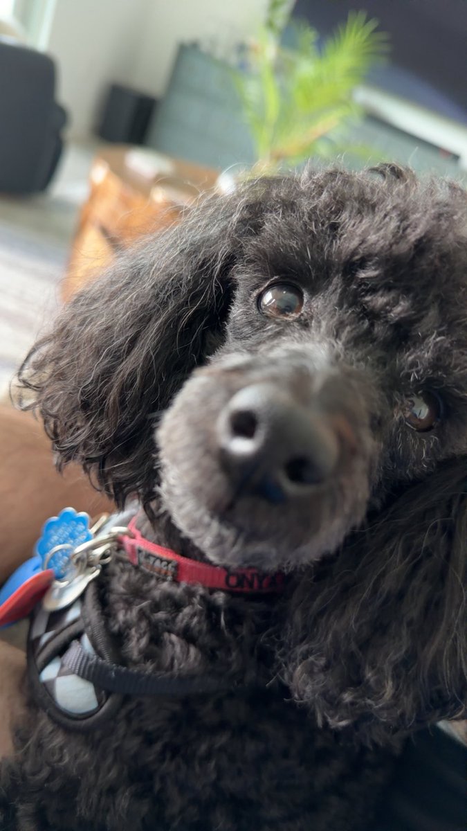 Sc0rchcs tweet media