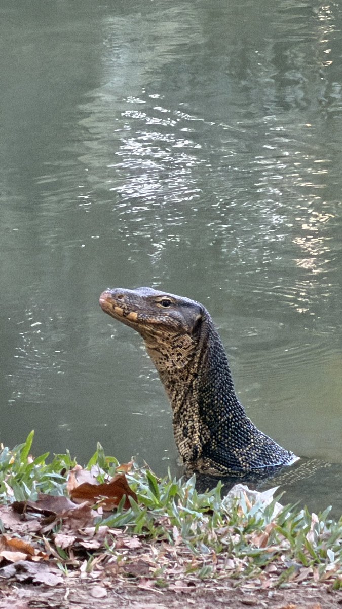 K lovePalit ♥️ tweet media