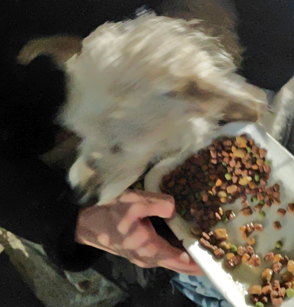 Roy Khamus💎 tweet media