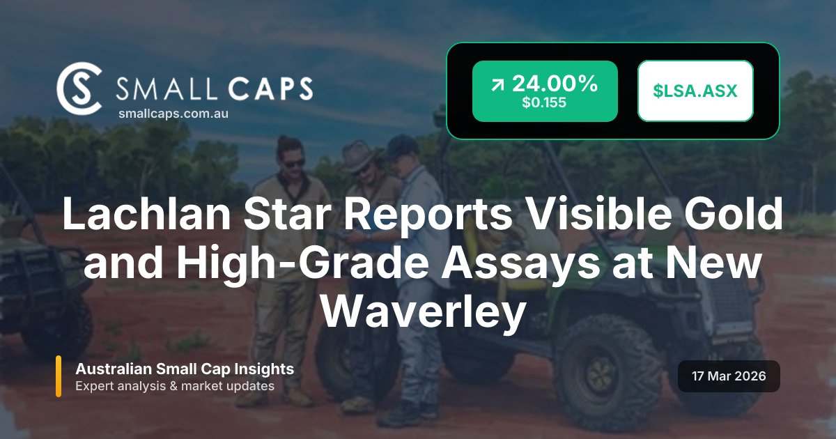 Small Caps tweet media