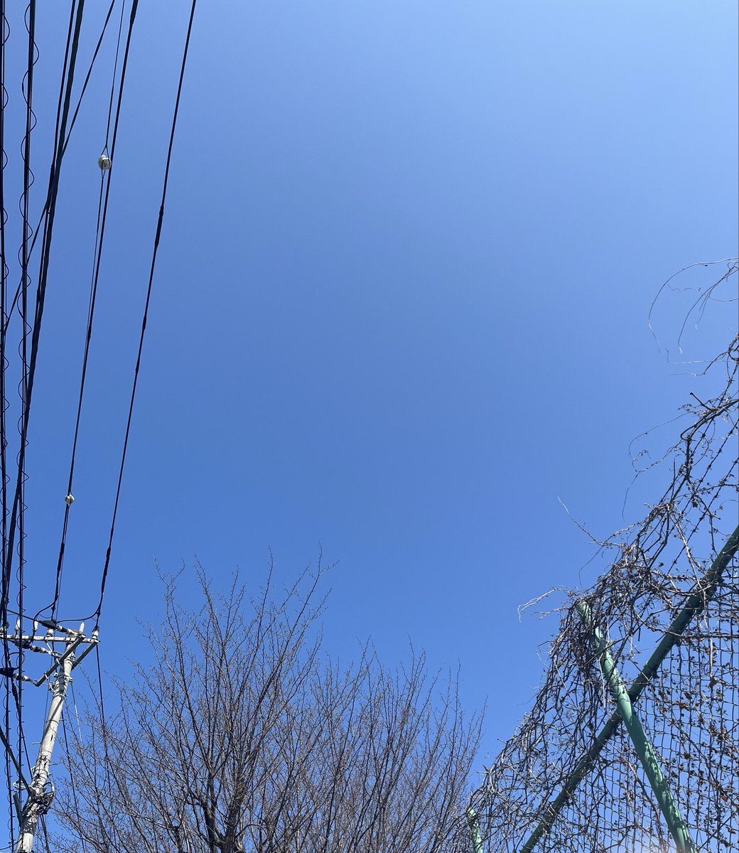 十日前の発熱由来のブレインフォグがまだ治らなくて原稿の構成読み直せなくて困った困った
ちょっと直すと脳が疲れて店じまいになるし、ほんとに、さっきまであった思考が霧の中に消えてそれを探してるみたいになるのすごいなコレ
しょうがないから外フラフラしてる
いい天気だねえ