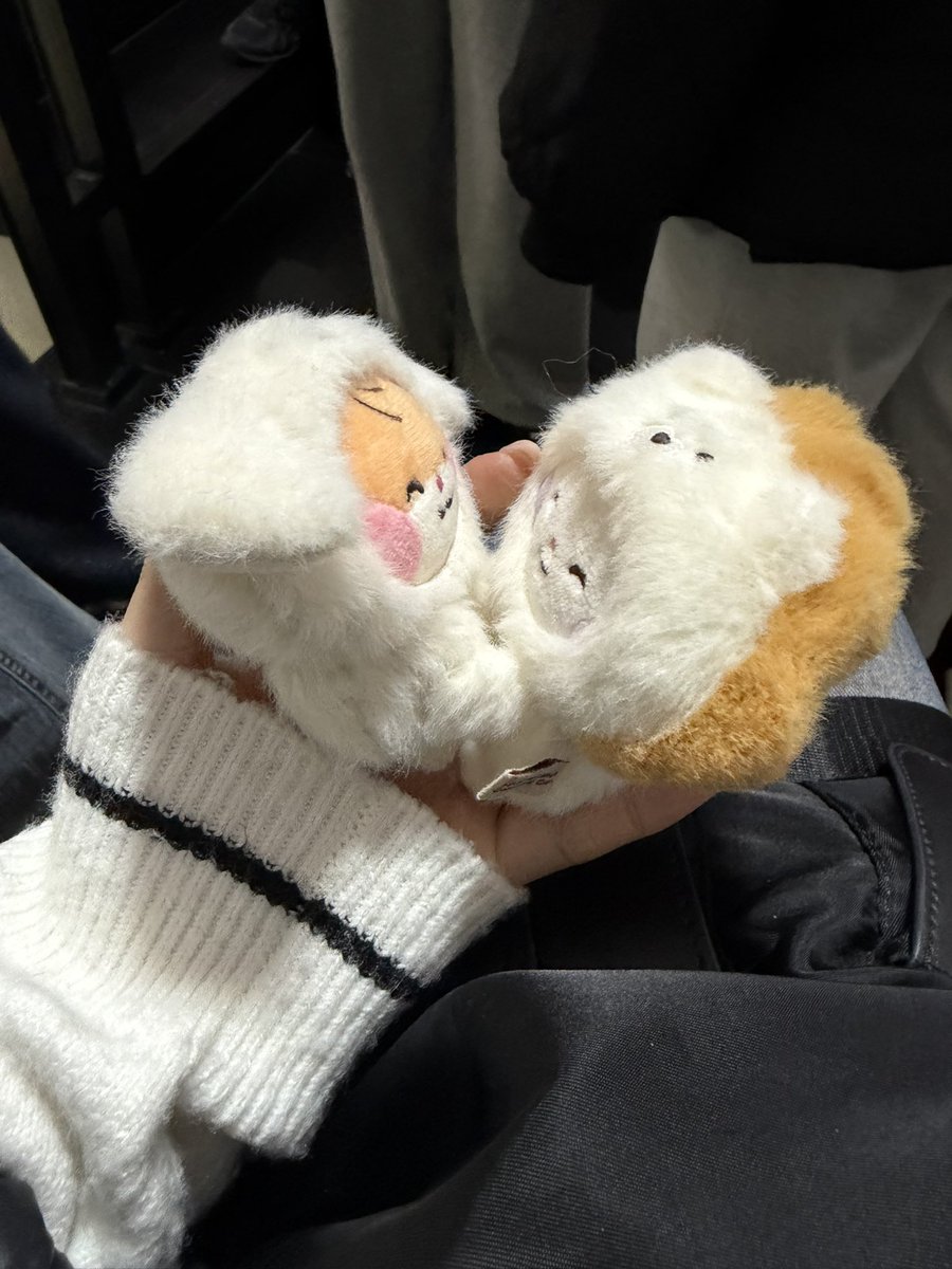 뽀둥이 tweet media