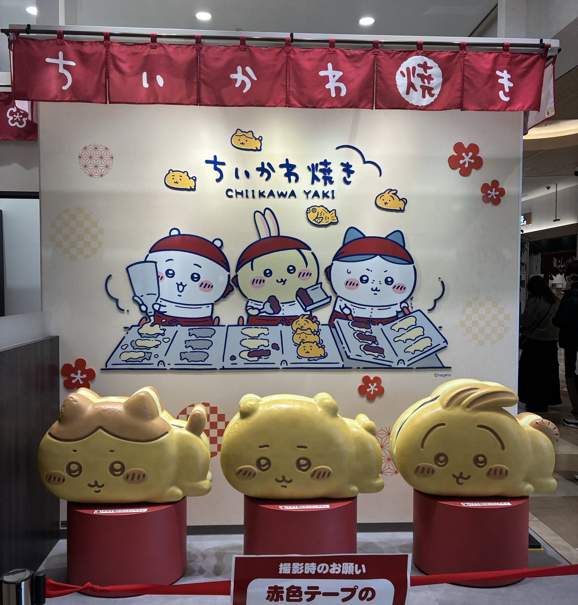 フィン tweet media