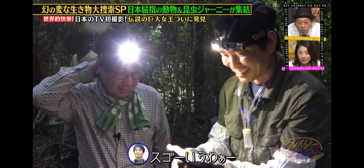 AntRoom 島田拓 tweet media