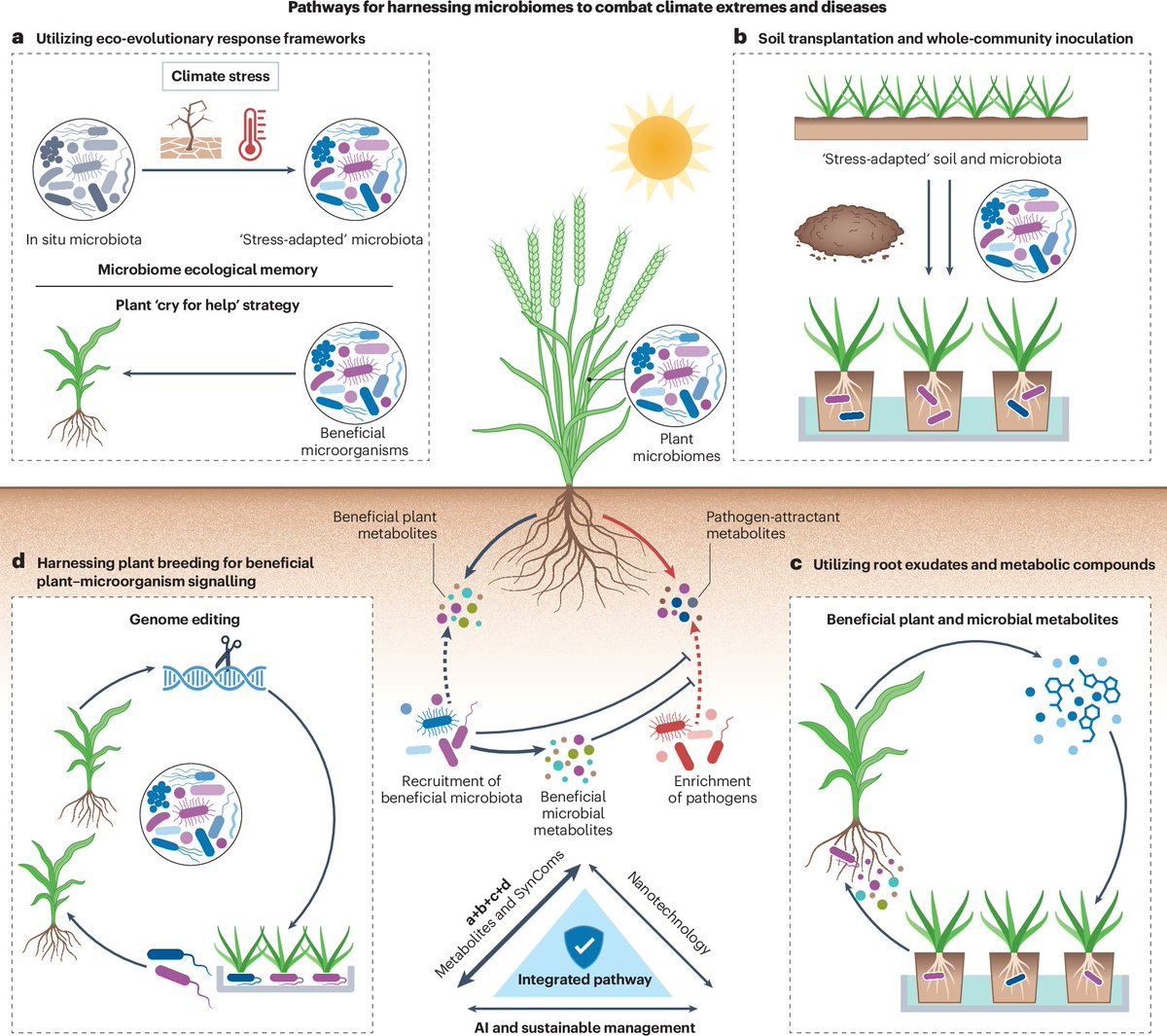 Prof Brajesh Singh tweet media