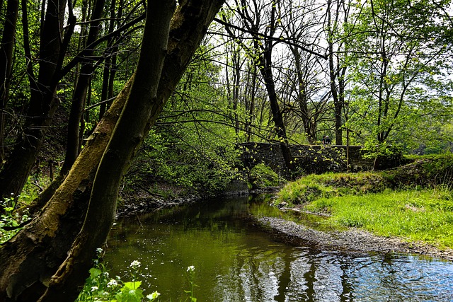 Angel Turner tweet media