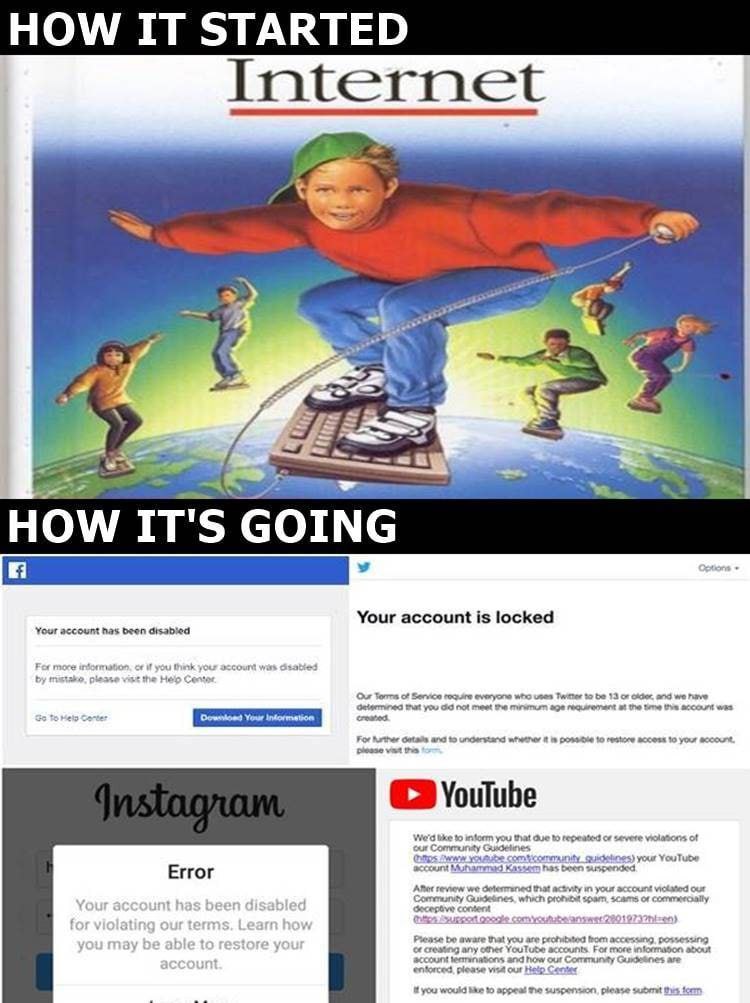 rabbitholebot tweet media