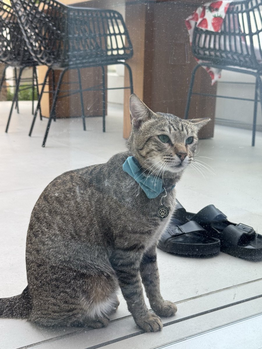 Matteo V. tweet media