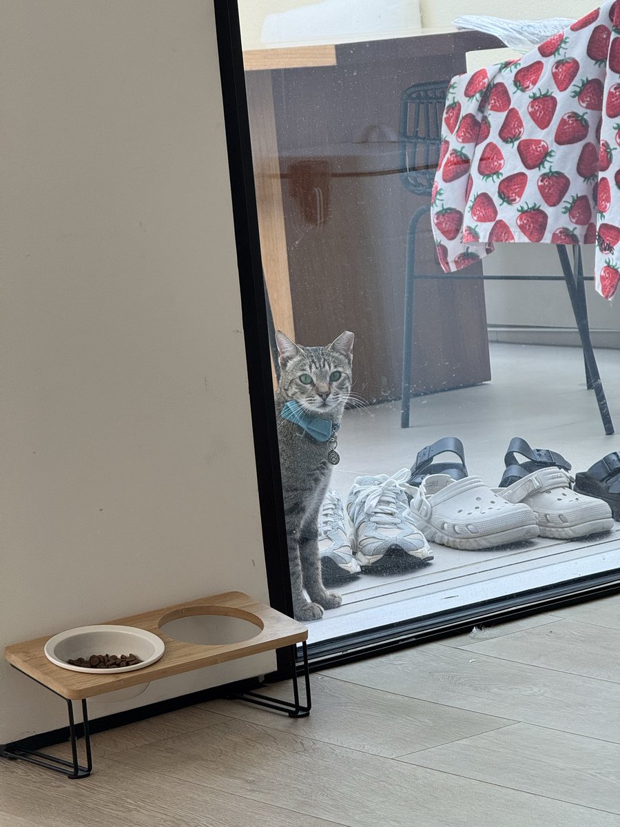 Matteo V. tweet media