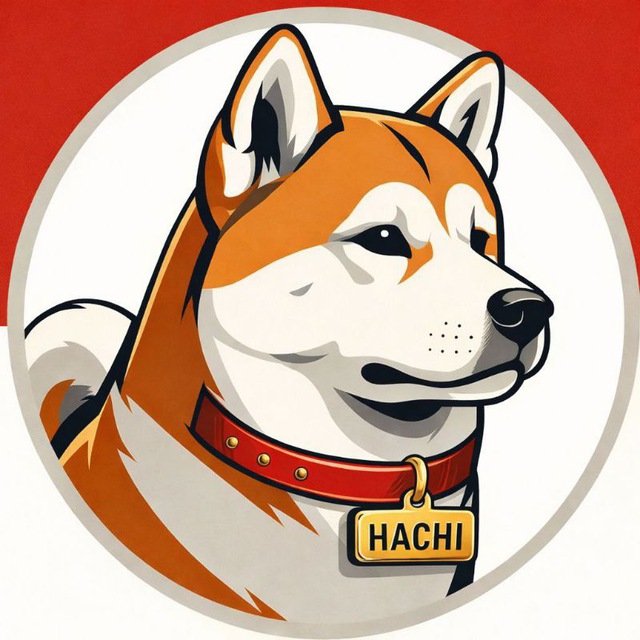 Hachiko Whale tweet media