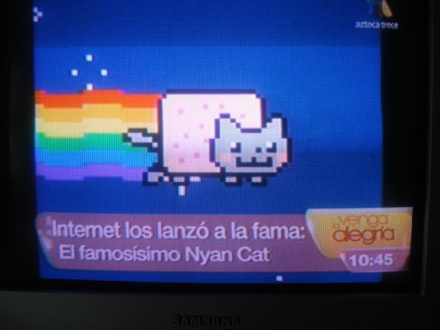 Nyan Cat tweet media