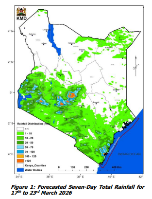 The African Voice tweet media