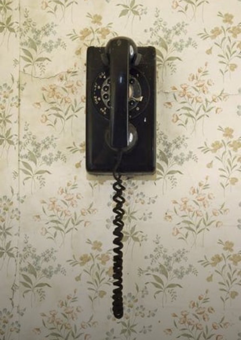 Trumplicans2024.com tweet media