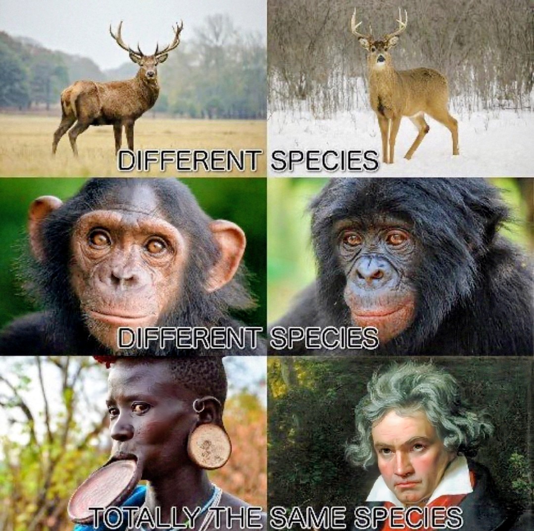 TETLIN SAPPER™ tweet media