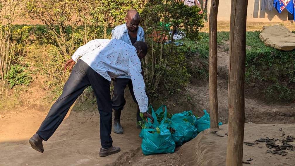 CommonGroundUg's tweet photo. In a bid to restore degraded hills, @CommonGroundUg
Is disturbing Coffee Seedling in Bukalasi, Tuuya, Bufuma, Nashutseshe and Mutebo restoration sites in Bududa. The aim is to have alternative sources of income instead of depending on tree cutting. @NLinUganda @ISSDUganda https://t.co/b67l5KILK8