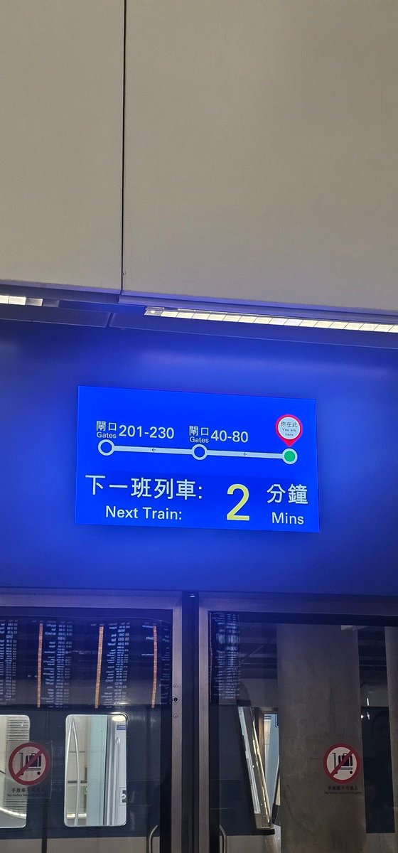 Tiny Mint Mutt 👩🏿🦼➡️ thailand tweet media