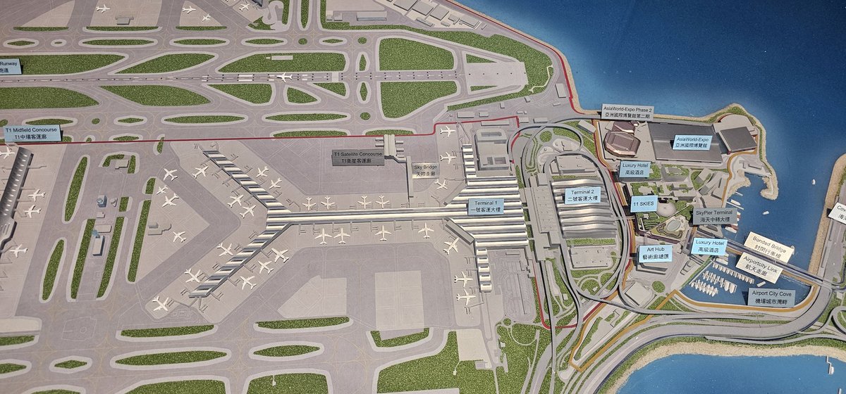 Tiny Mint Mutt 👩🏿🦼➡️ thailand tweet media