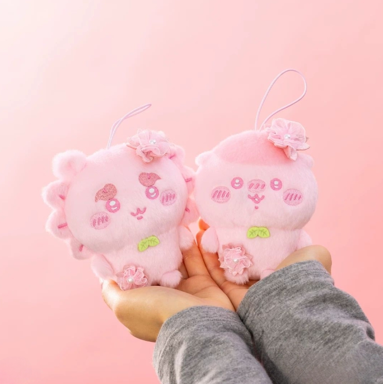 레조네 tweet media