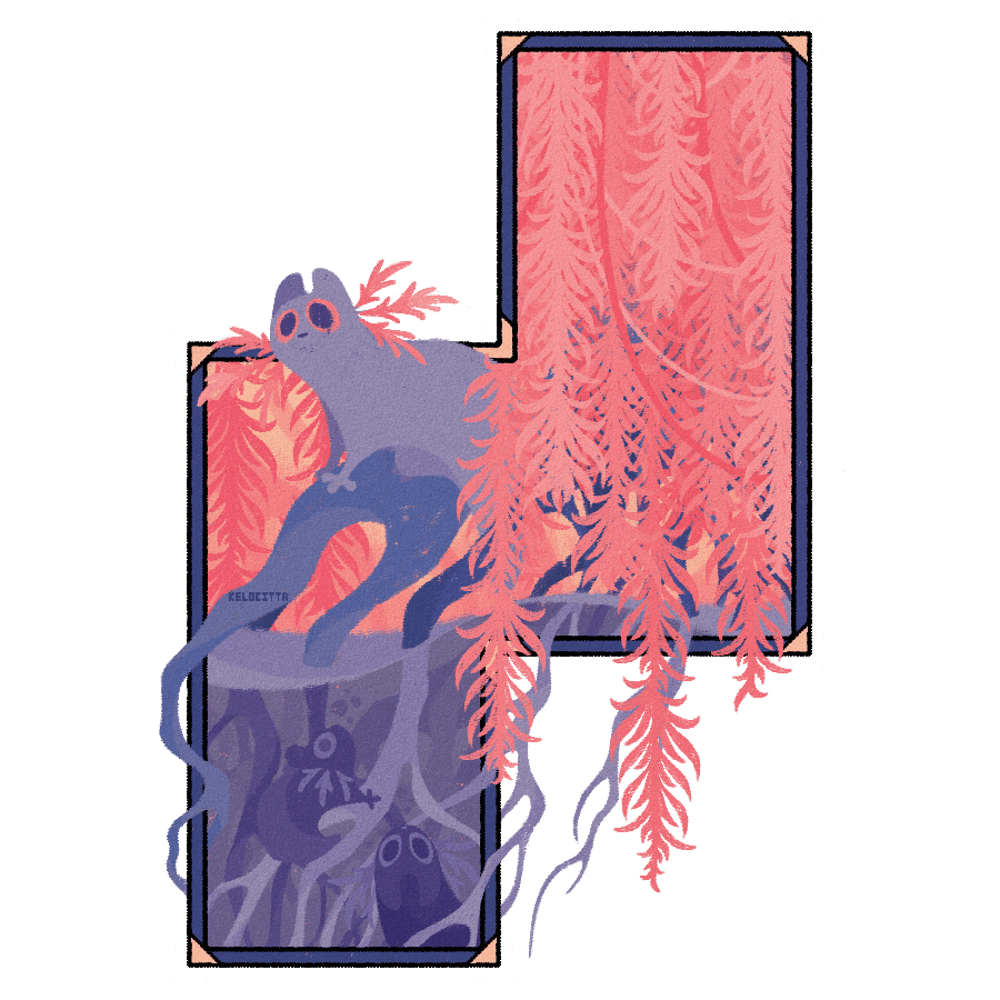 Kele 🦚🕷️ Silksong Arc tweet media