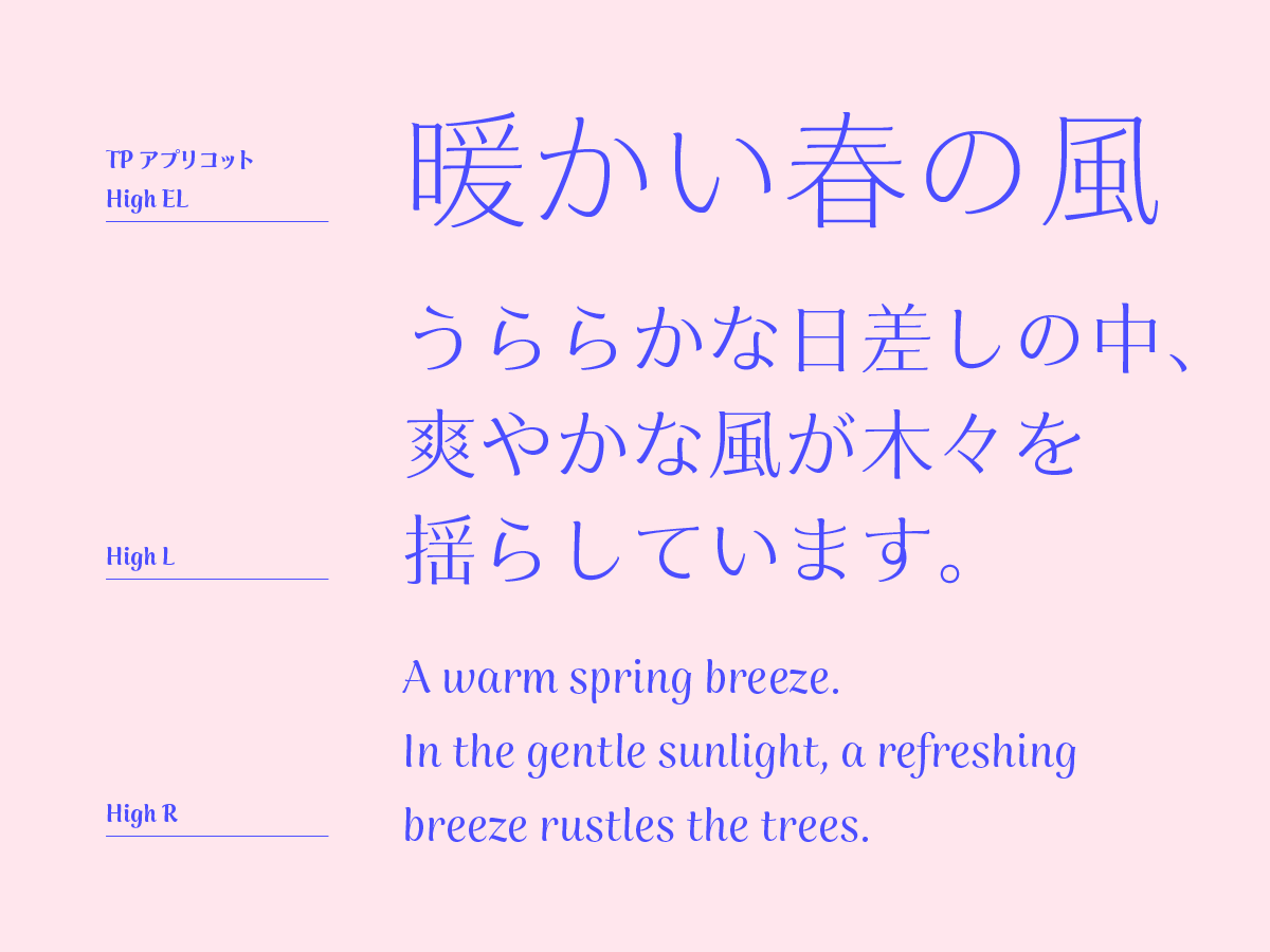 Type Project (EN) tweet media