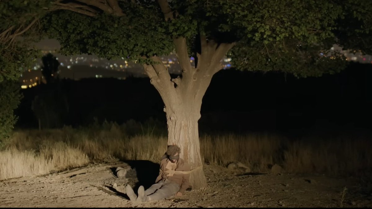 Transitions magazine tweet media