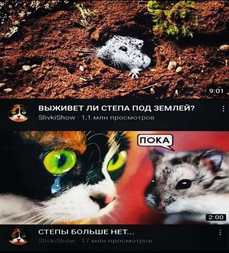 SPAWNRYS 🇷🇺🖥️ (@spawnrys_dev) on Twitter photo 