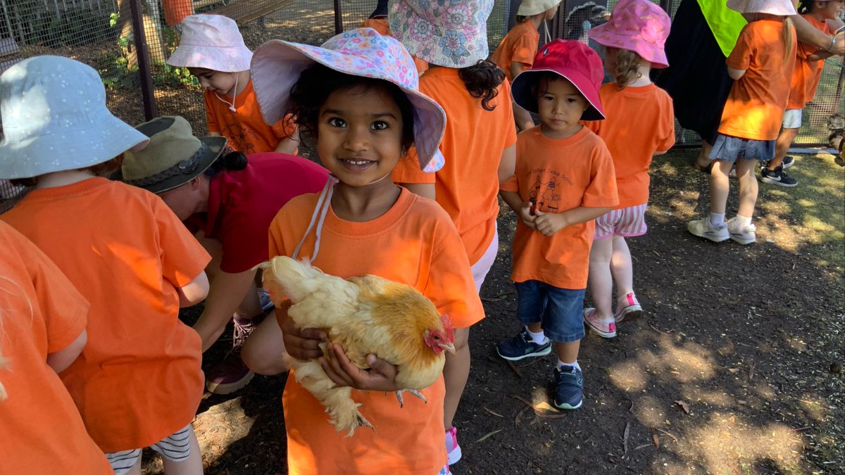 Infant Jesus School tweet media