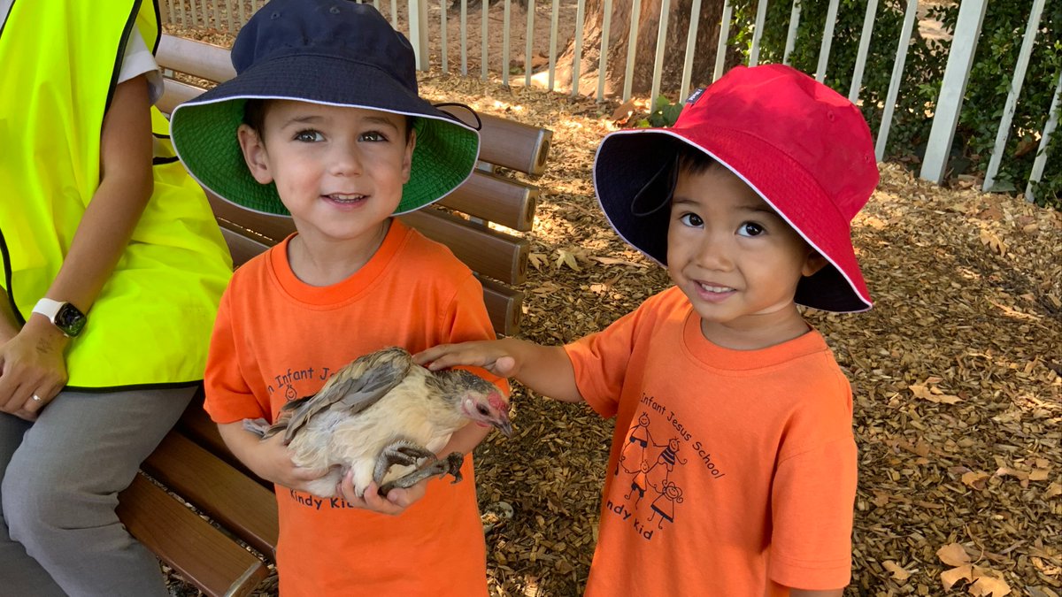 Infant Jesus School tweet media