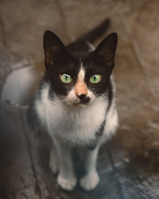 Greg Moore tweet media