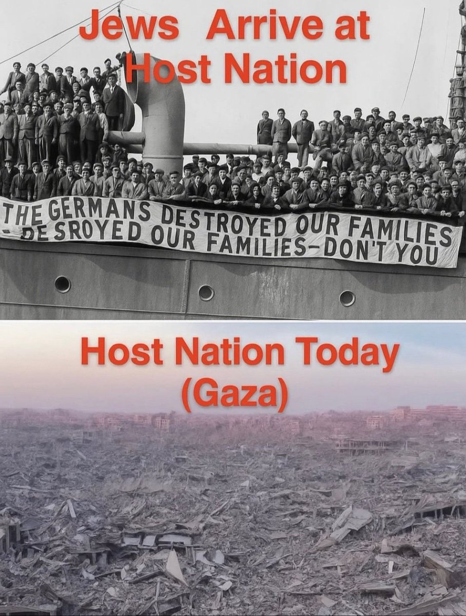 𝐓𝐡𝐞 𝐒𝐢𝐦𝐮𝐥𝐚𝐭𝐢𝐨𝐧 tweet media