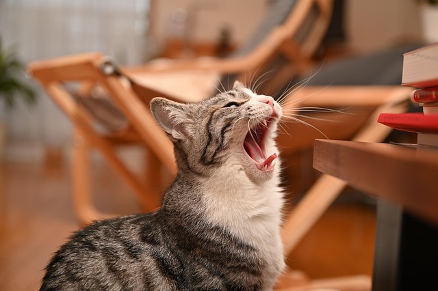 Matthew Zarate tweet media