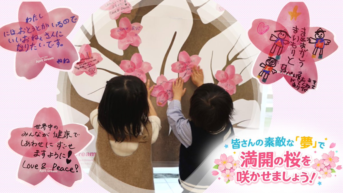 大分市で現地にて引き取り出来る方限定です【短期】 【公式通販】