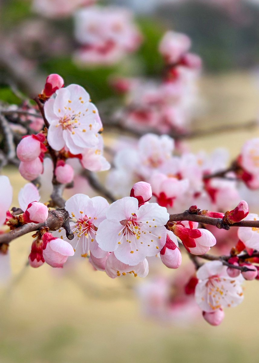 금자🕯 tweet media