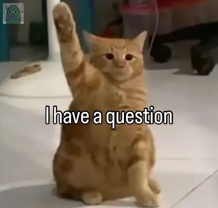 ♥︎ : ⌗ 𝖣𝖾𝖺𝗋, tweet media