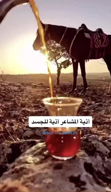 اكتفوووور ثم اختفووووو

لا يهمونك 

ثق ، ابتعدت عنك روح الشياطين ولازمتك روح الملائكة