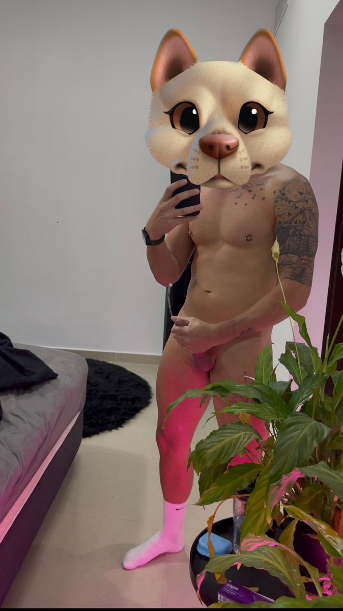 Skyler_grey tweet media