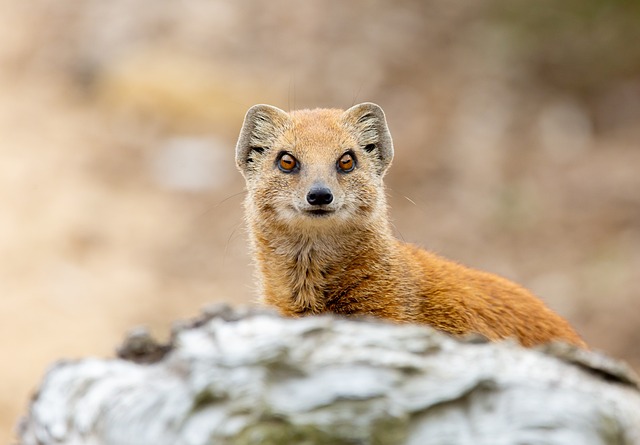 Garrett Matthews tweet media