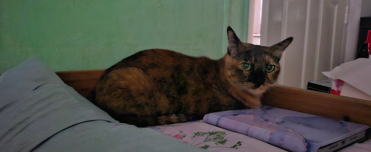 Silver ♡ tweet media