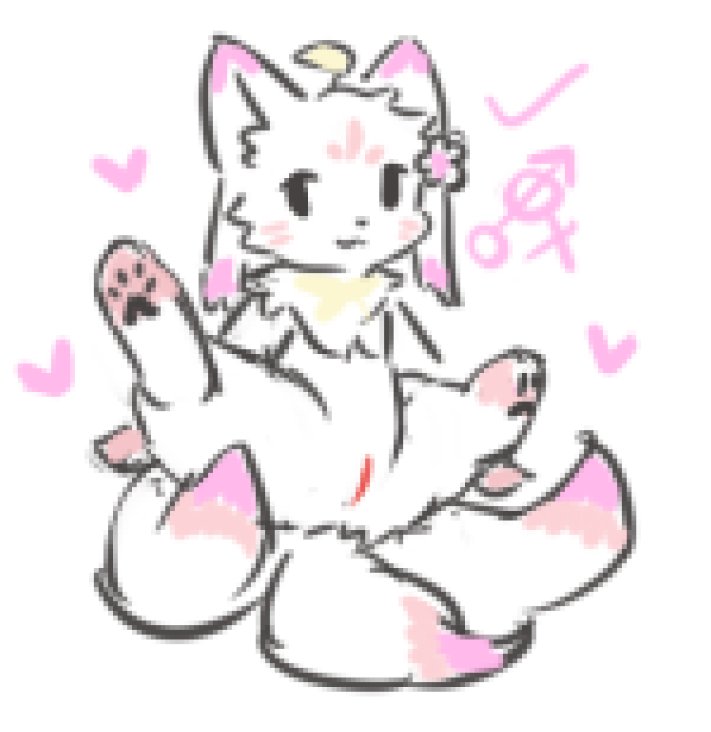 小青云儿 tweet media