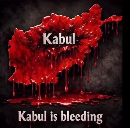 Habibullah Hamad (حماد افغان)ℹ tweet media