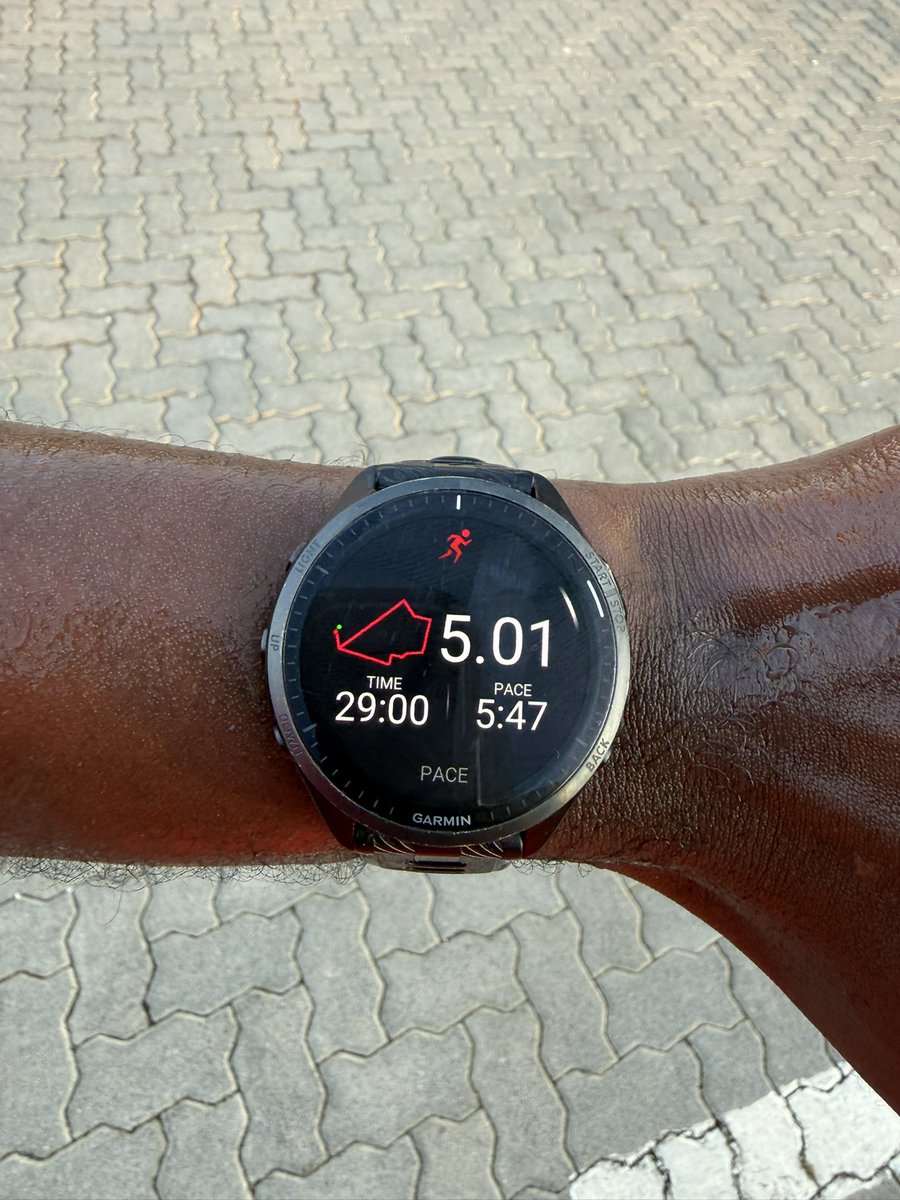 Rendani Mamphiswana, PhD tweet media