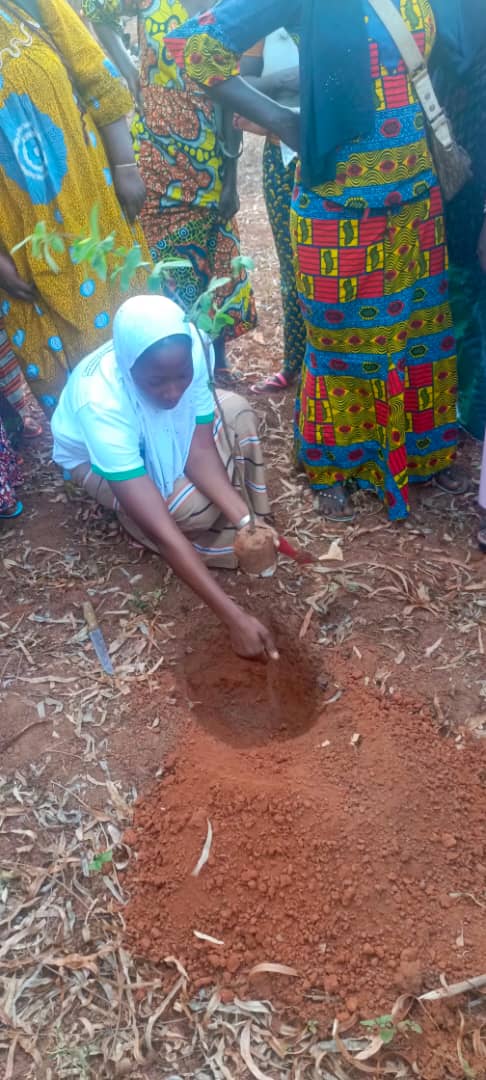 Climate Justice Impact Fund for Africa tweet media