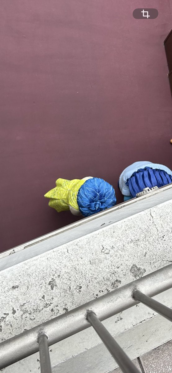 Naoya@Disney tweet media