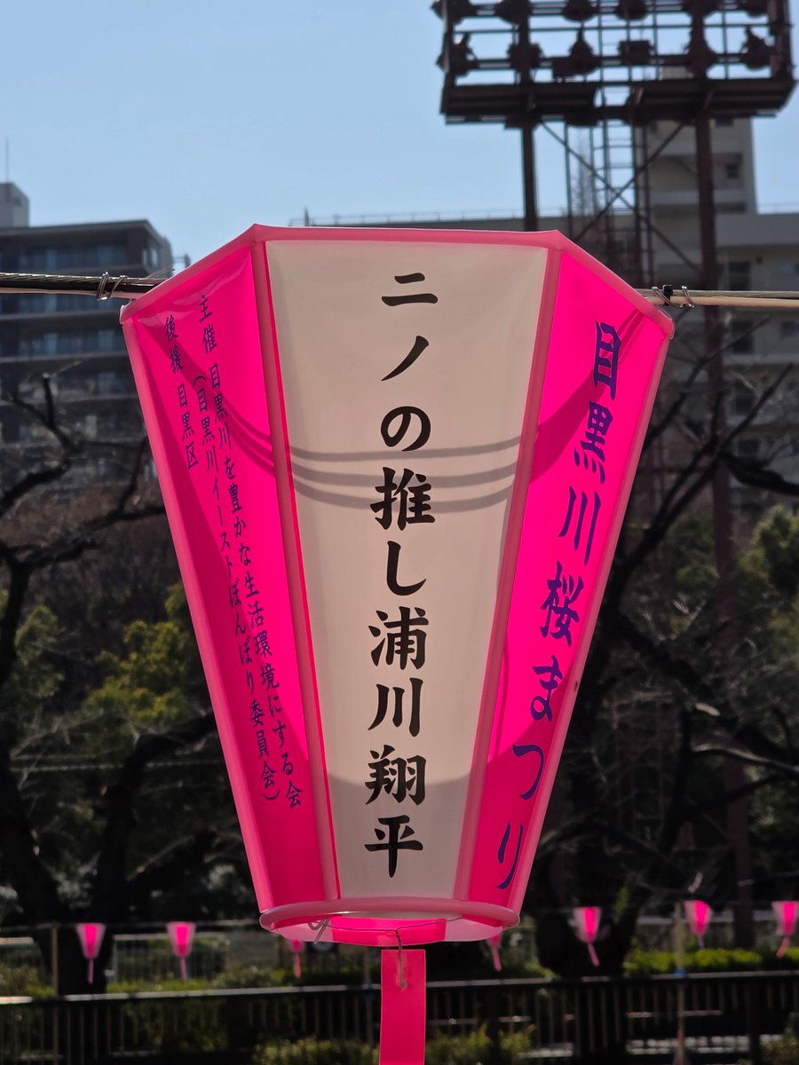 ﾁﾝｹﾞﾝｻｲ tweet media