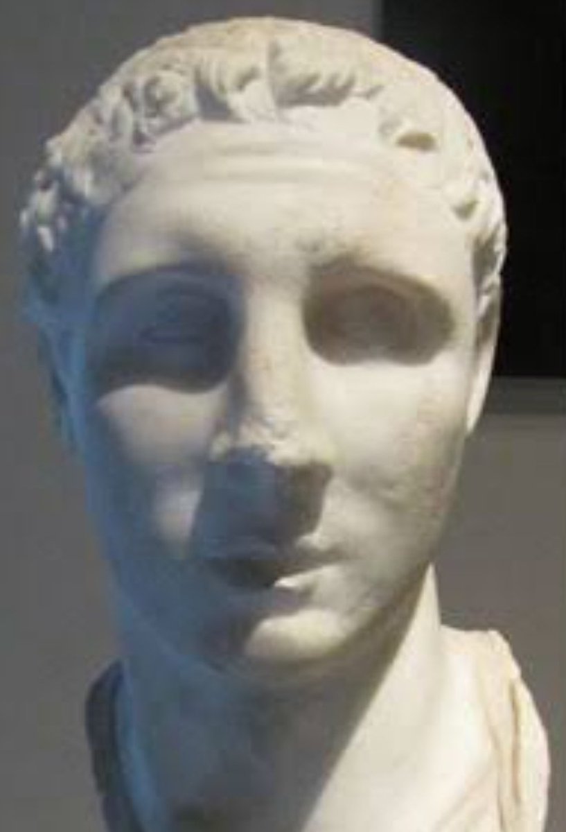 🔞👑 || feral hermit || 🌈 tweet media