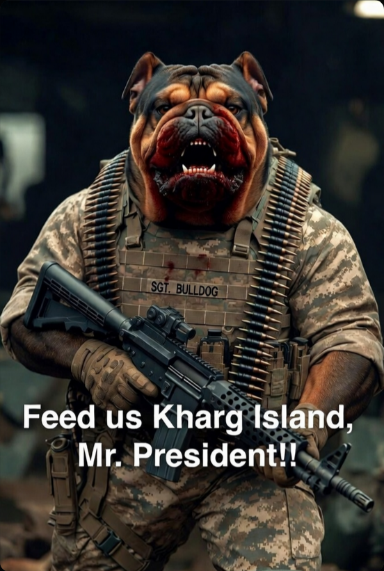 Patrick Fox tweet media