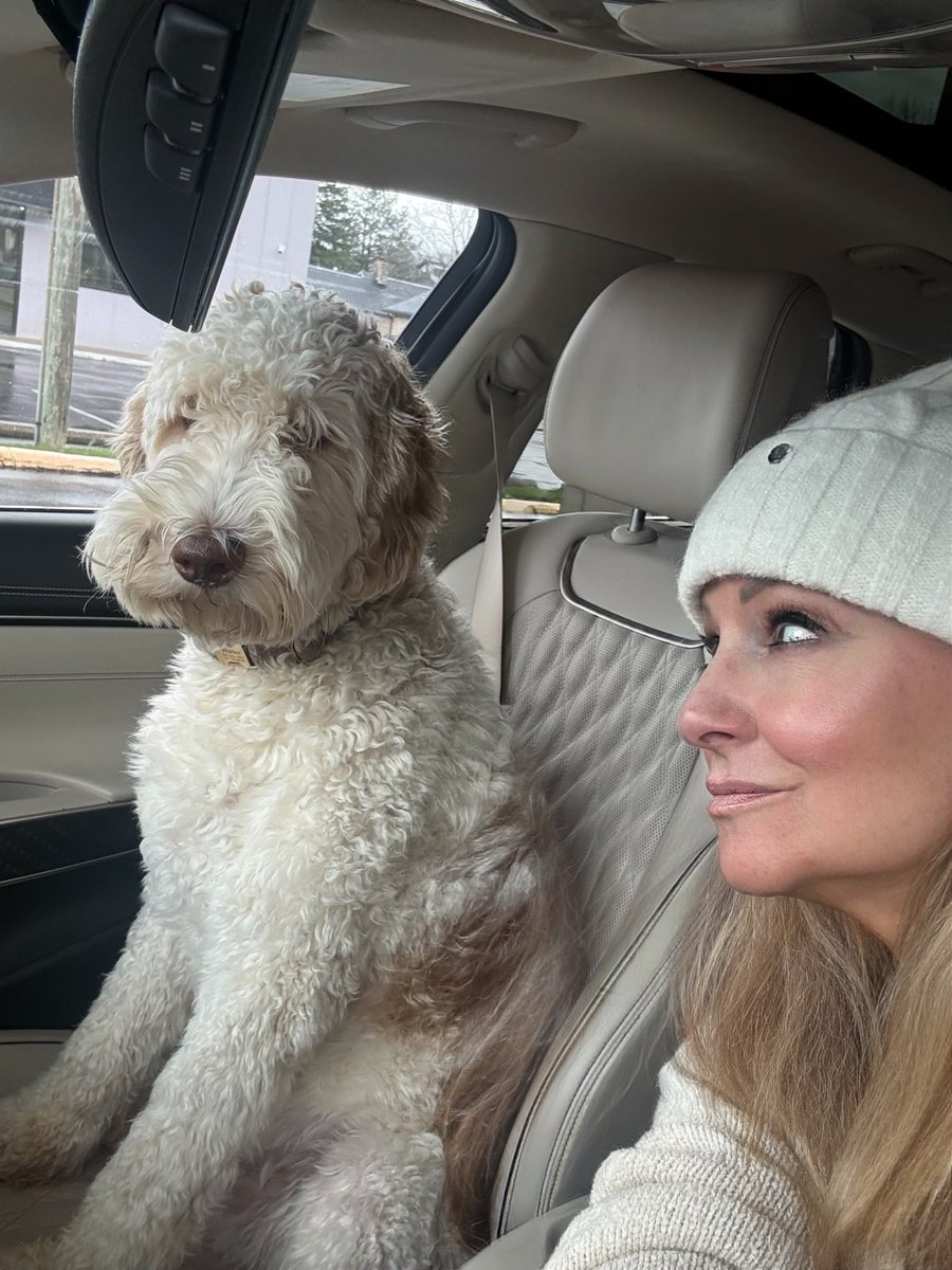 🎙Laura Steele🎙 tweet media