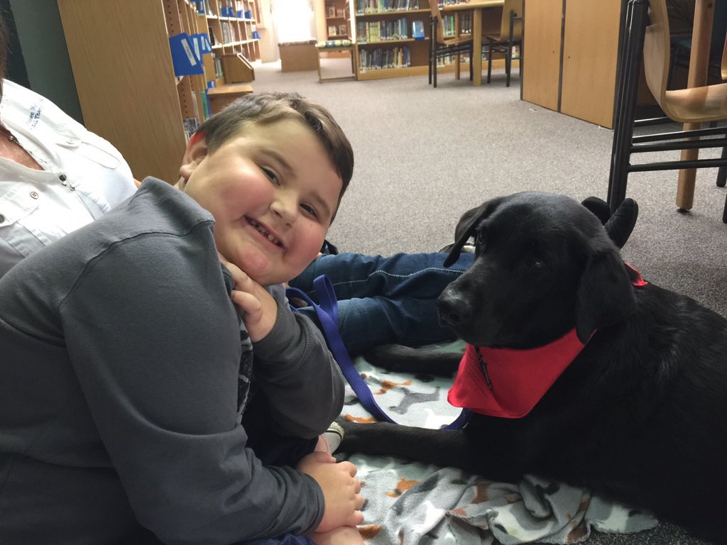 Meredith ORourke tweet media